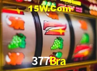  377Bra.Com