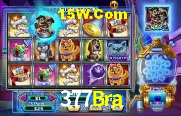 Experimente o Login Seguro Premium no 377Bra